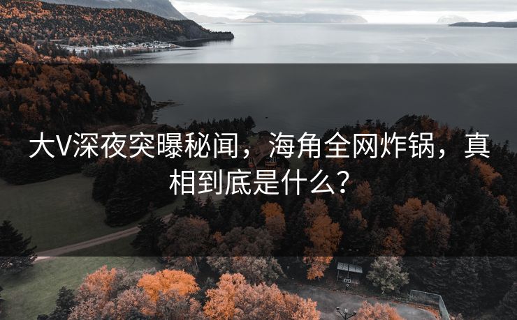 大V深夜突曝秘闻，海角全网炸锅，真相到底是什么？